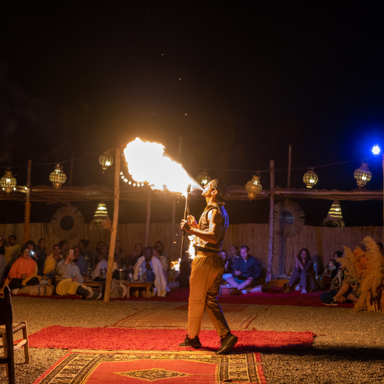 Dinner Show in the Desert